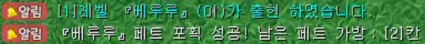 포획 성공 능력치 확인 2